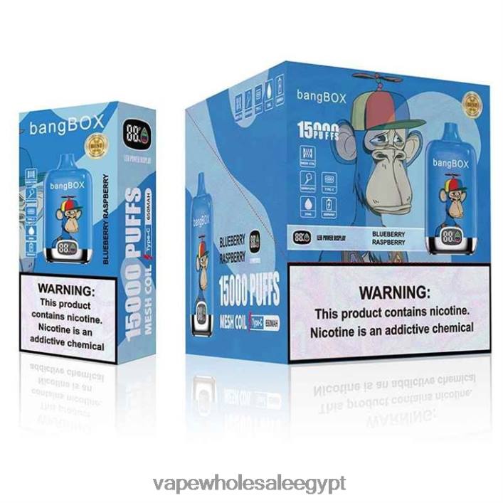 2R86DB140 - Disposable Vape Cairo توت العليق Bang Box 15000