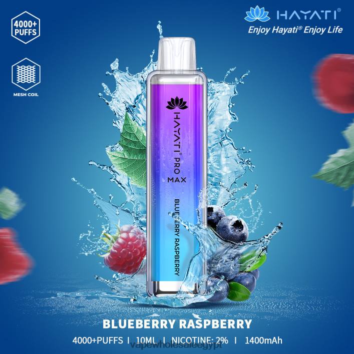 2R86DB153 - Disposable Vape مصر توت العليق Hayati Pro Max 4000