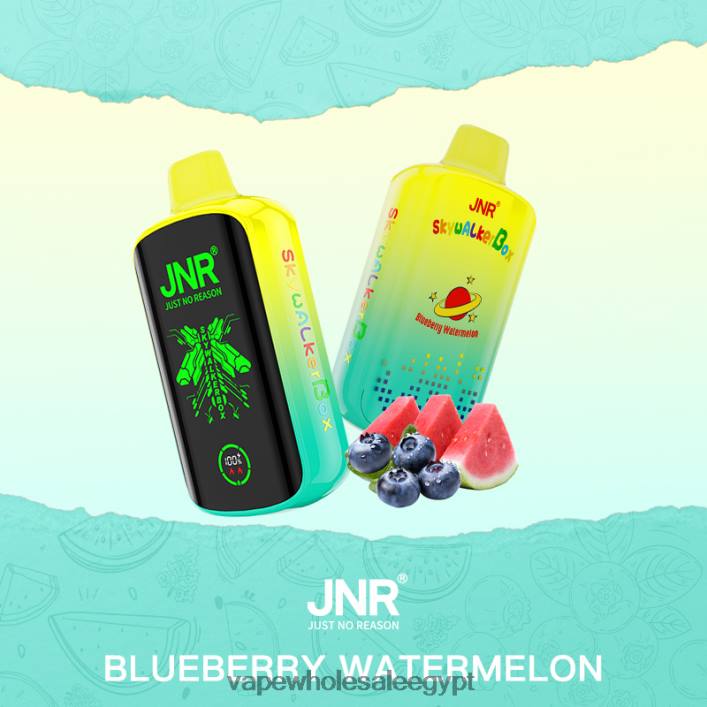 2R86DB586 - Vape Wholesale Egypt البطيخ التوت JNR SKYWALKER BOX