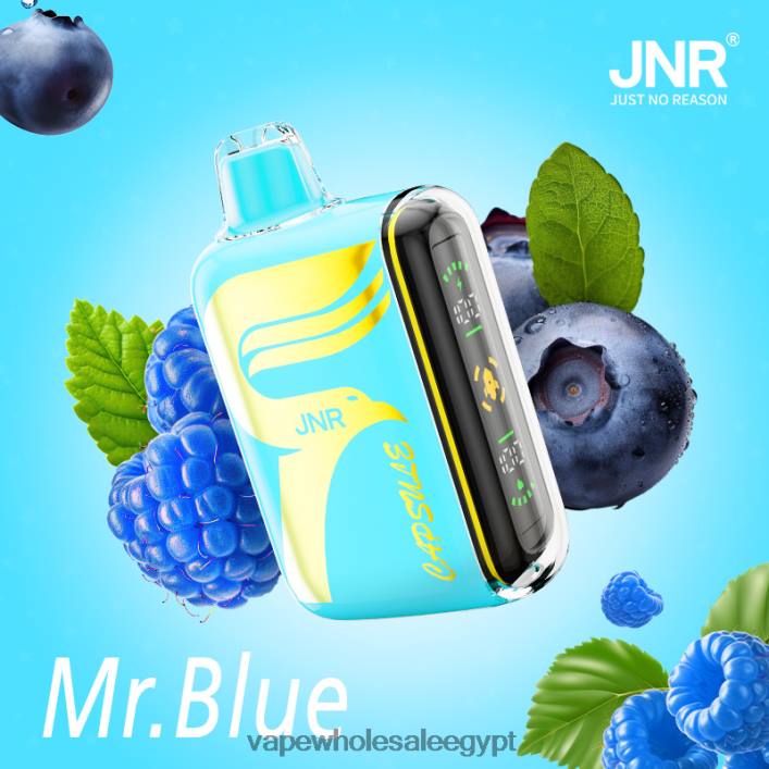 2R86DB606 - Vape Wholesale Egypt السيد الأزرق JNR CAPSULE