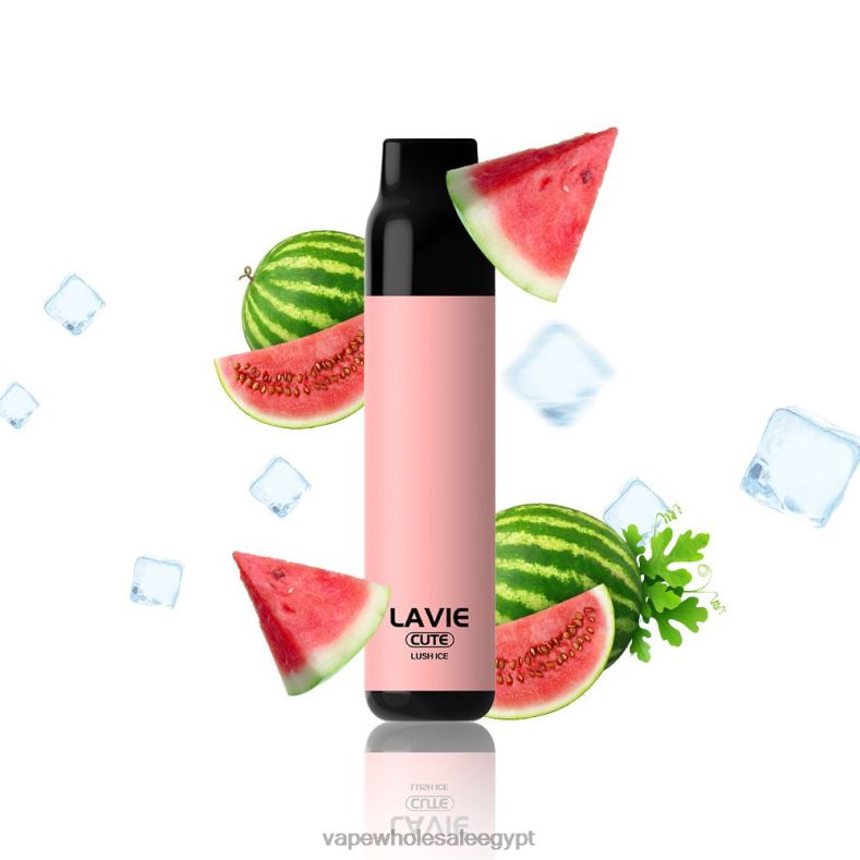 LAVIE BAR 3000 نفث 88XF6285 | Vape مصر الجليد الخصب