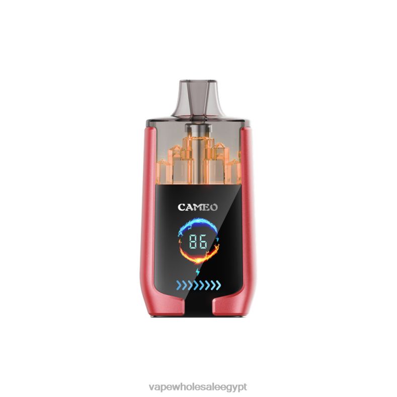 LAVIE CAMEO 30000 نفث 88XF614 | Disposable Vape Cairo ثلج البطيخ