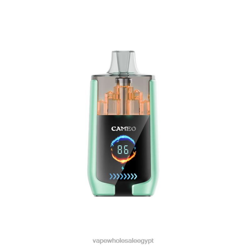 LAVIE CAMEO 30000 نفث 88XF620 | Vape بالجملة تفاحة مزدوجة