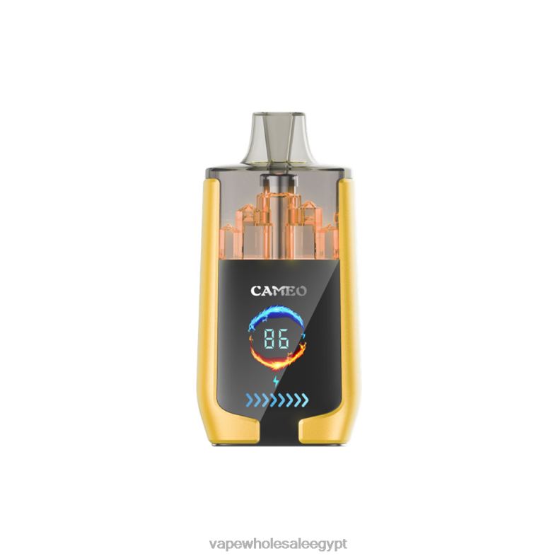 LAVIE CAMEO 30000 نفث 88XF621 | شراء Vape بالجملة جليد المانجو