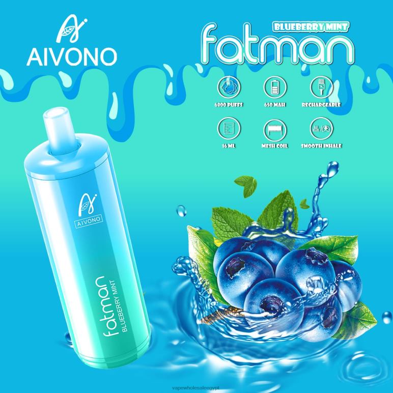 Aivono FATMAN 6800 النعناع التوت - R6RTR22 Cairo Vape Shop