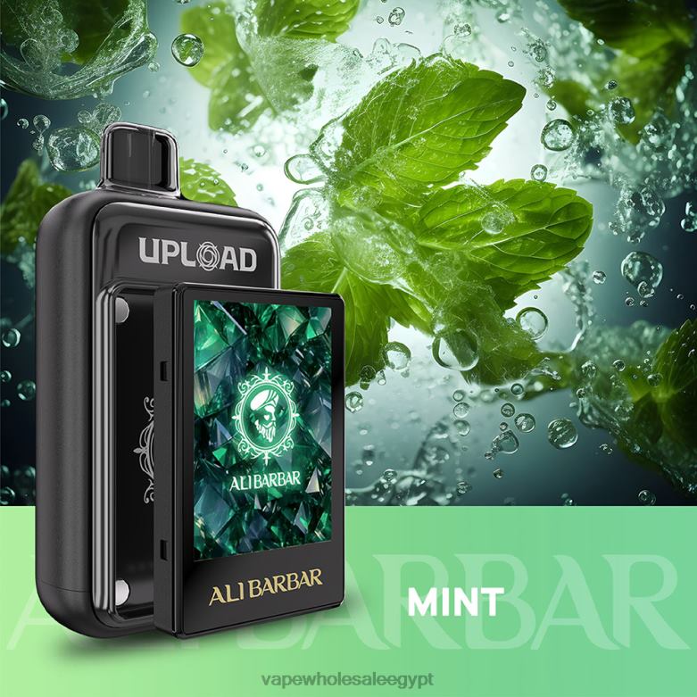 Cairo Vape Shop نعناع | Alibarbar رفع 26NZF117