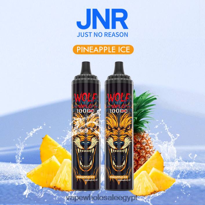 2R86DB769 - Cairo Vape Shop ثلج الأناناس JNR WOLF NIPLO