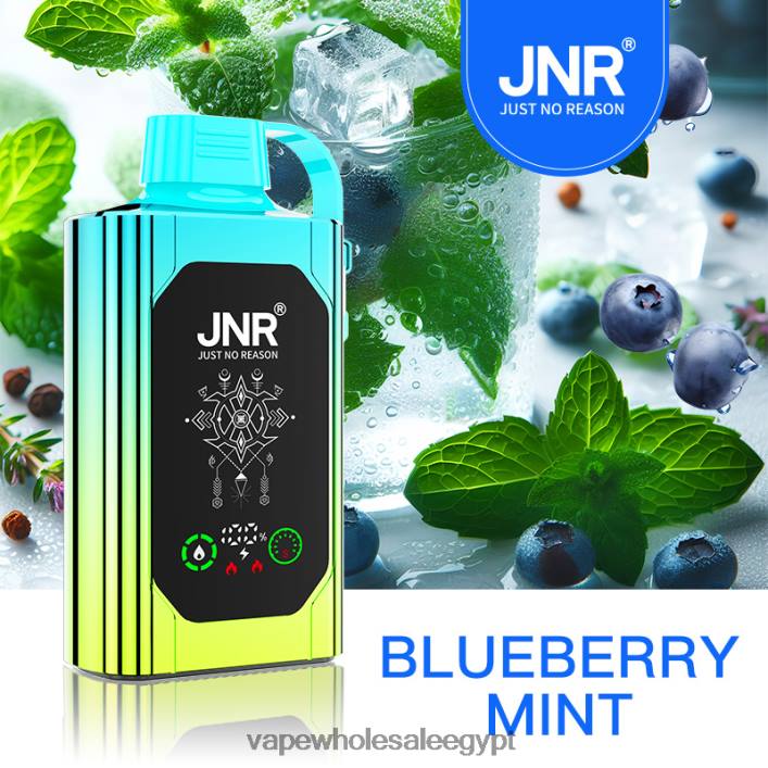 2R86DB618 - شراء Vape بالجملة النعناع التوت JNR SHISHA BOX