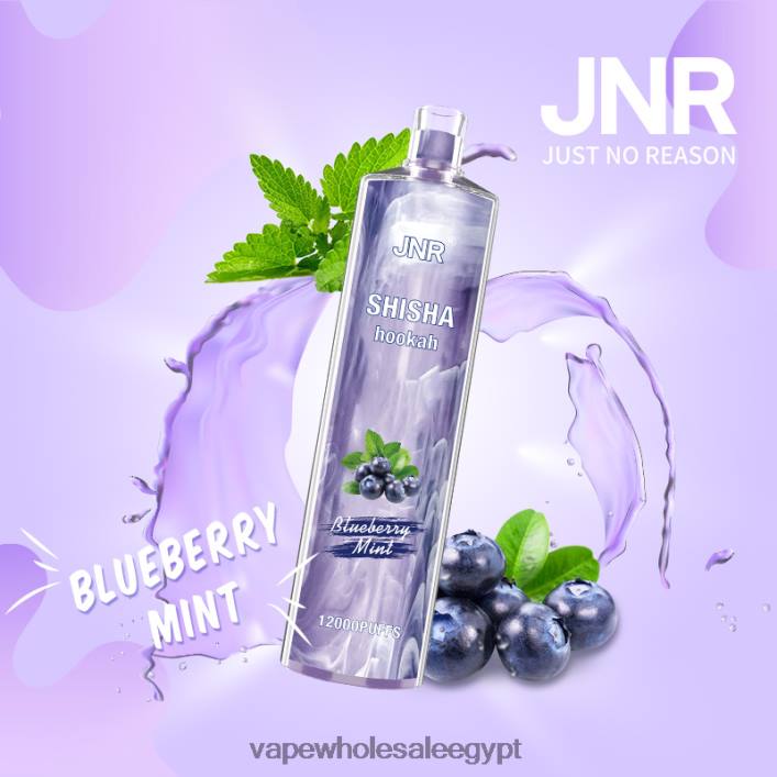 2R86DB672 - Vape مصر الجديدة النعناع التوت JNR SHISHA