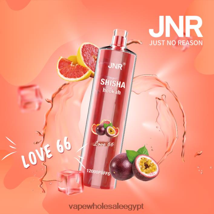 2R86DB683 - Disposable Vape مصر الحب 66 JNR SHISHA