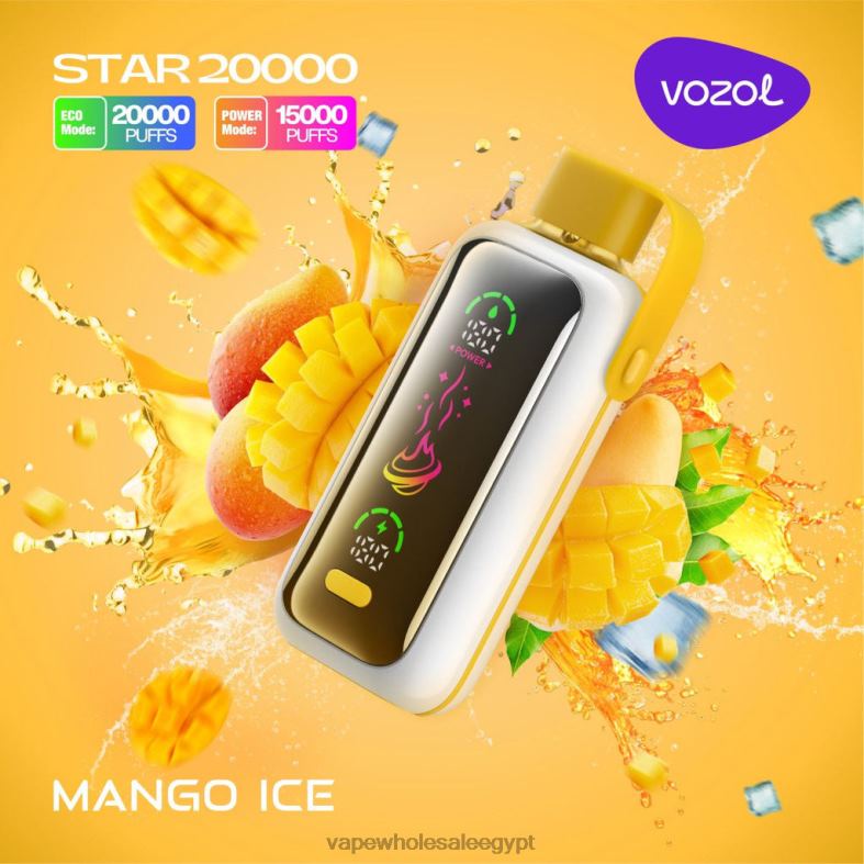 Cairo Vape Shop جليد المانجو 8HT8013 VOZOL STAR 20000