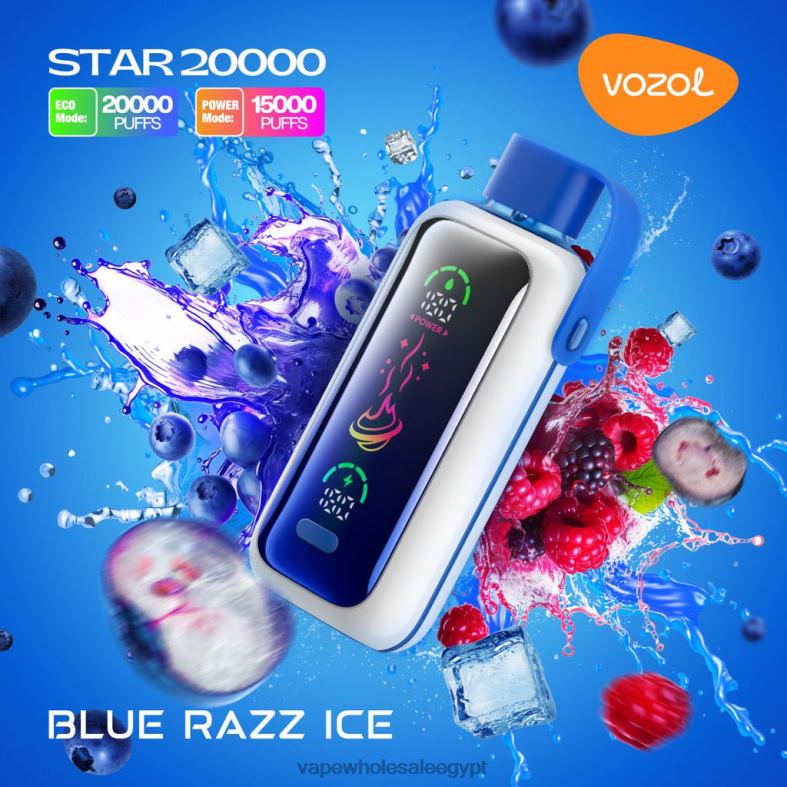 Cairo Vape Shop الجليد الأزرق 8HT804 VOZOL STAR 20000