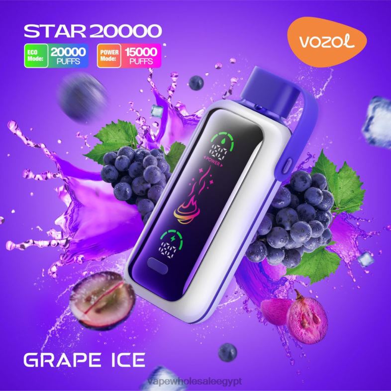 Vape Store مصر جليد العنب 8HT809 VOZOL STAR 20000