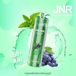 2R86DB678 - شراء Vape بالجملة نعناع العنب JNR SHISHA