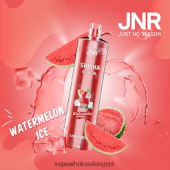 2R86DB693 - Disposable Vape مصر ثلج البطيخ JNR SHISHA