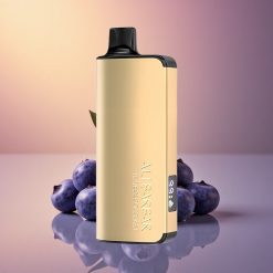 Alibarbar Ingot 9000 Puffs توت أزرق انفجار 2350mAh