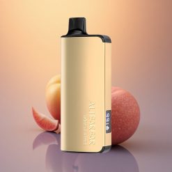 Alibarbar Ingot 9000 Puffs واحة الغابة السوداء 2350mAh 22مل