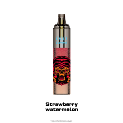 LAVIE OCO كرنفال 10000 نفث 88XF6358 | Vape مصر الجديدة الفراولة والبطيخ