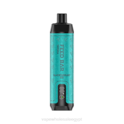 Vape مصر P2ZB96 Vapsolo SHISHA vape القابل للتصرف جليد الكشمش الأسود